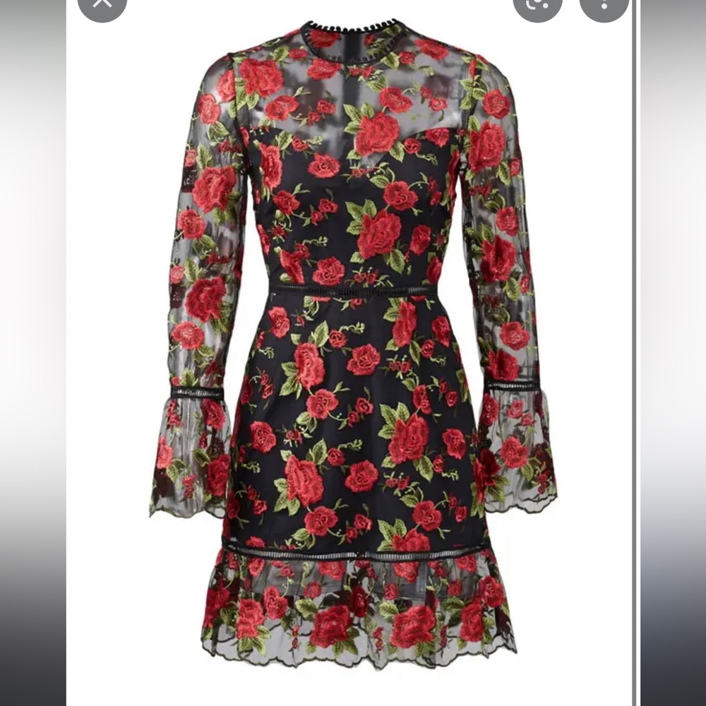 Beautiful rose dress by Saylor NY - Picture 2 of 10